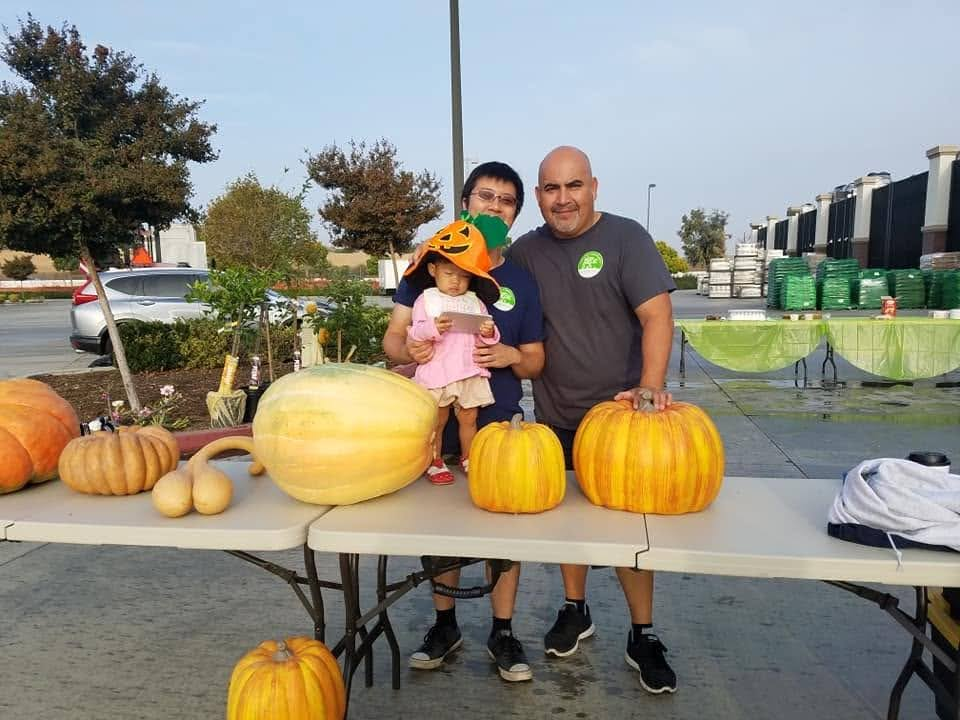 Pumpkin display