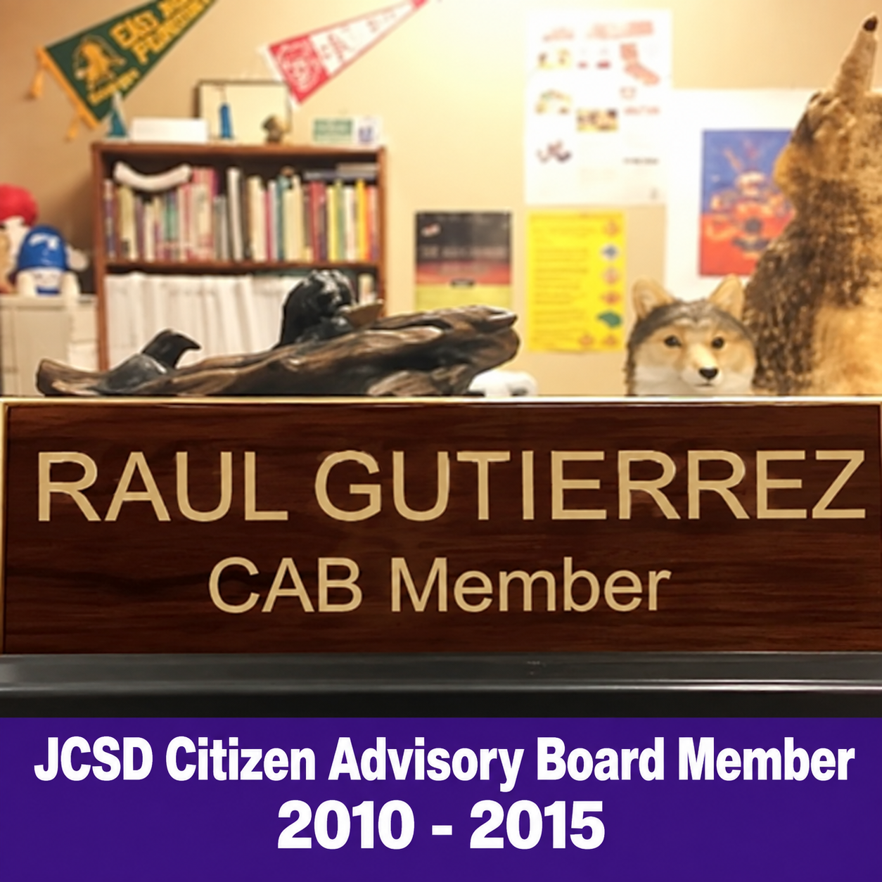 Board member · 2010–2015